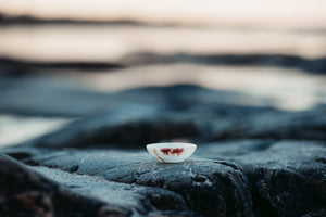 Charging and Smoke Cleansing Bowl - White Onyx