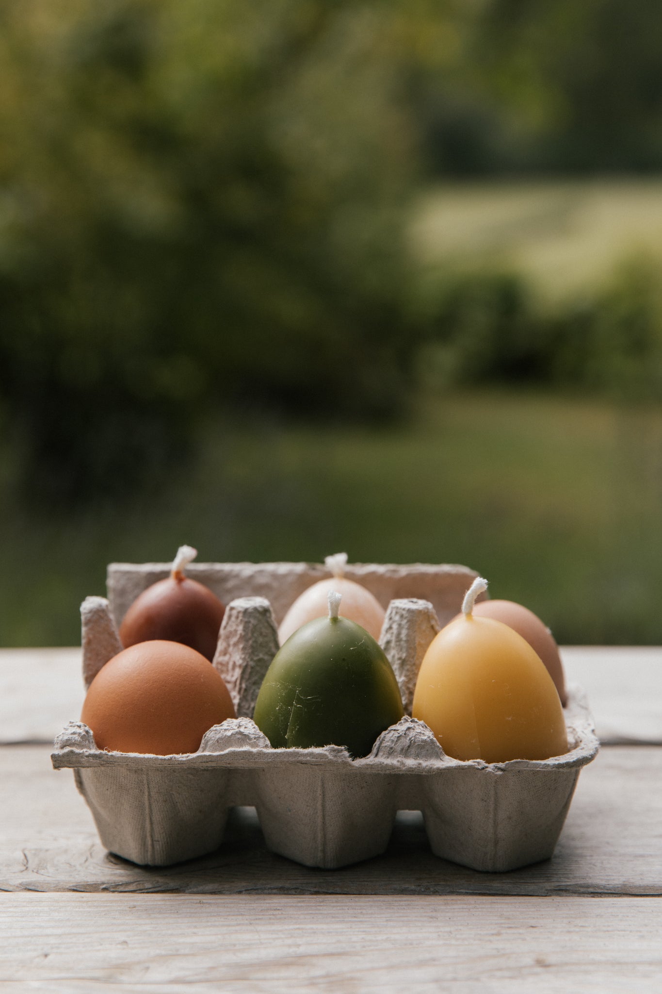Farm Fresh Egg Candles - Half Dozen