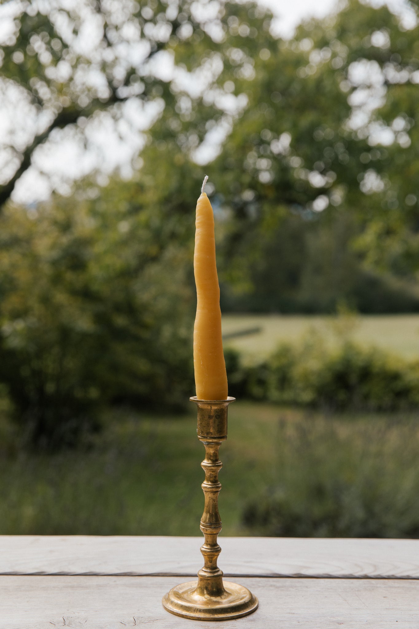 Lockwood Farms Carrot Candle - Orange