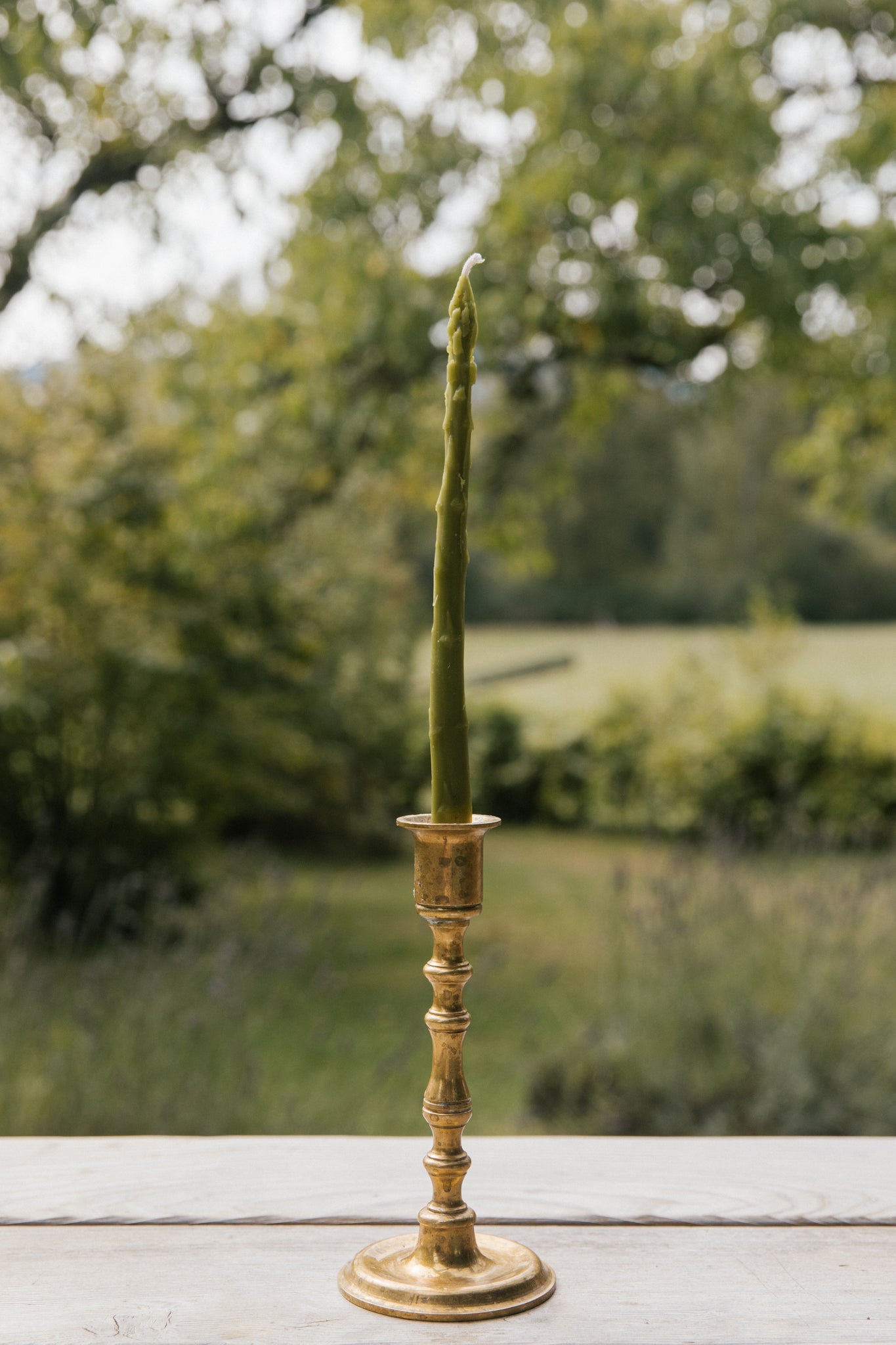 Asparagus Tapers - Green