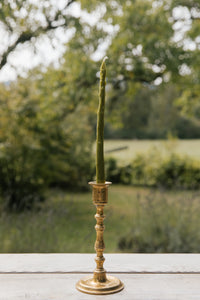 Asparagus Tapers - Green