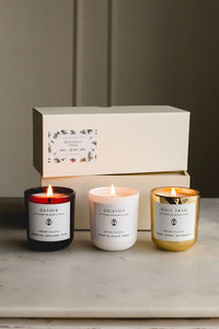 Holiday candle trio gift boxes