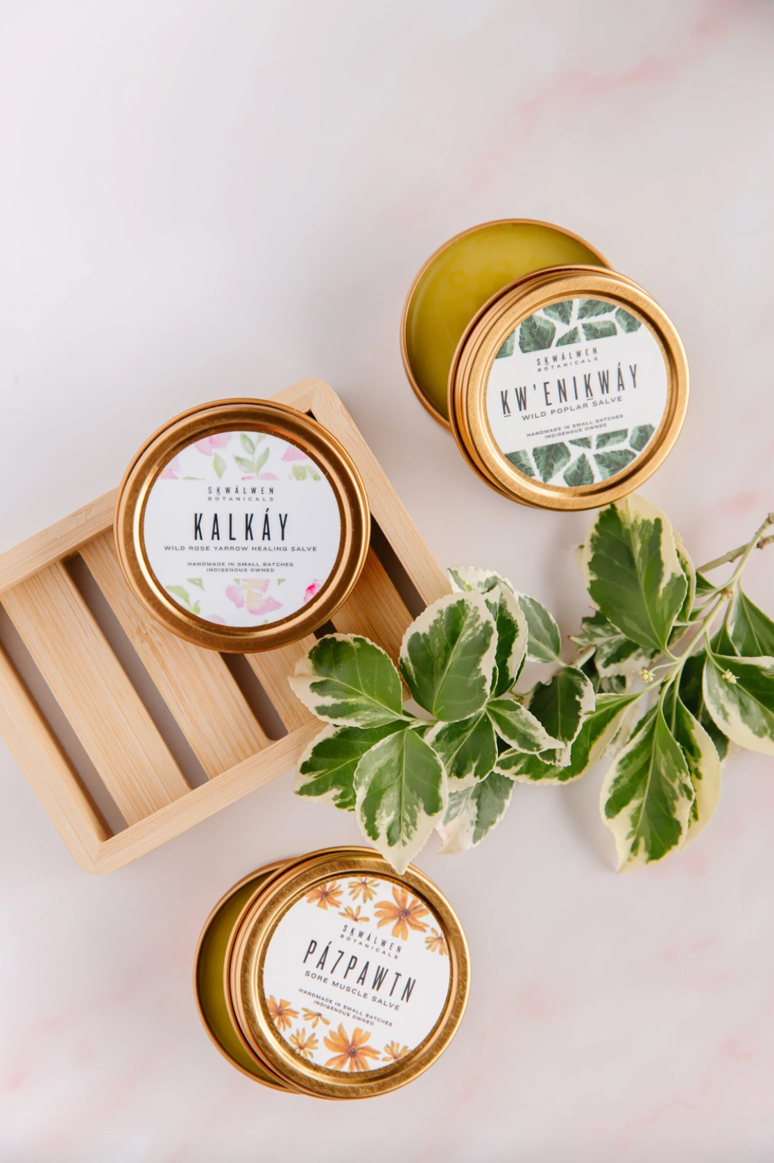 PÁ7PAWTN NETTLE AND ARNICA SORE MUSCLE