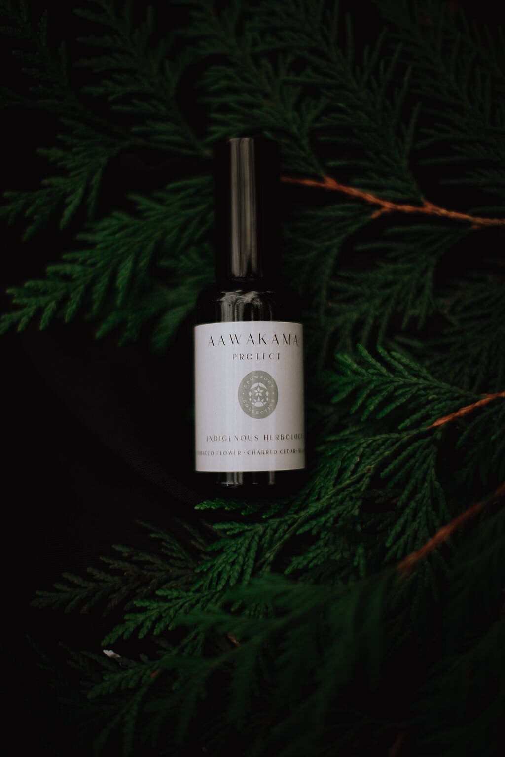 PROTECT MIST - AURA MIST / ENERGY MIST / BEAUTY WATER / PERFUME